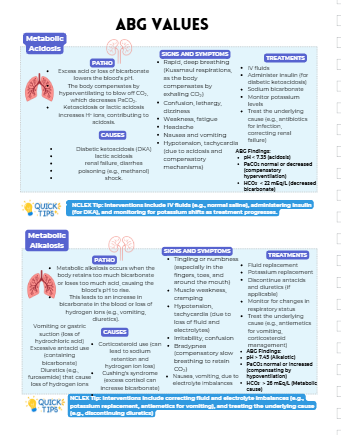 FROM NURSING STUDENT to RN: NURSING EXAM STUDY GUIDE