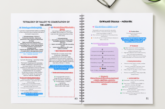 (Spiral Bound Book) FROM NURSING STUDENT to RN: NURSING EXAM STUDY GUIDE